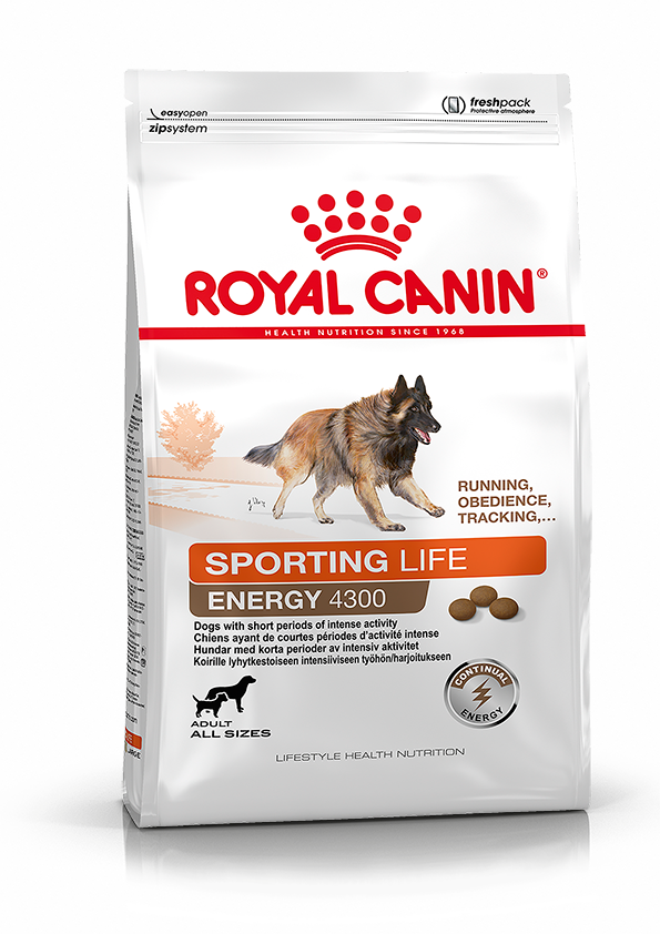 Sport Life Energy 4300 Adult Torrfoder för hund - 15 kg - Royal Canin