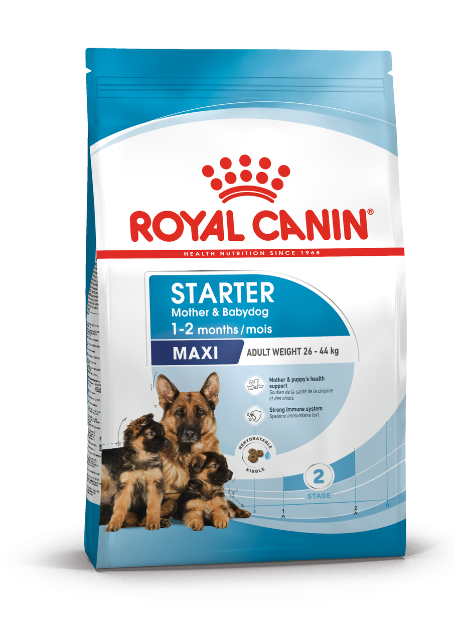 Maxi Starter Mother & Babydog Torrfoder för hund - 15 kg - Royal Canin