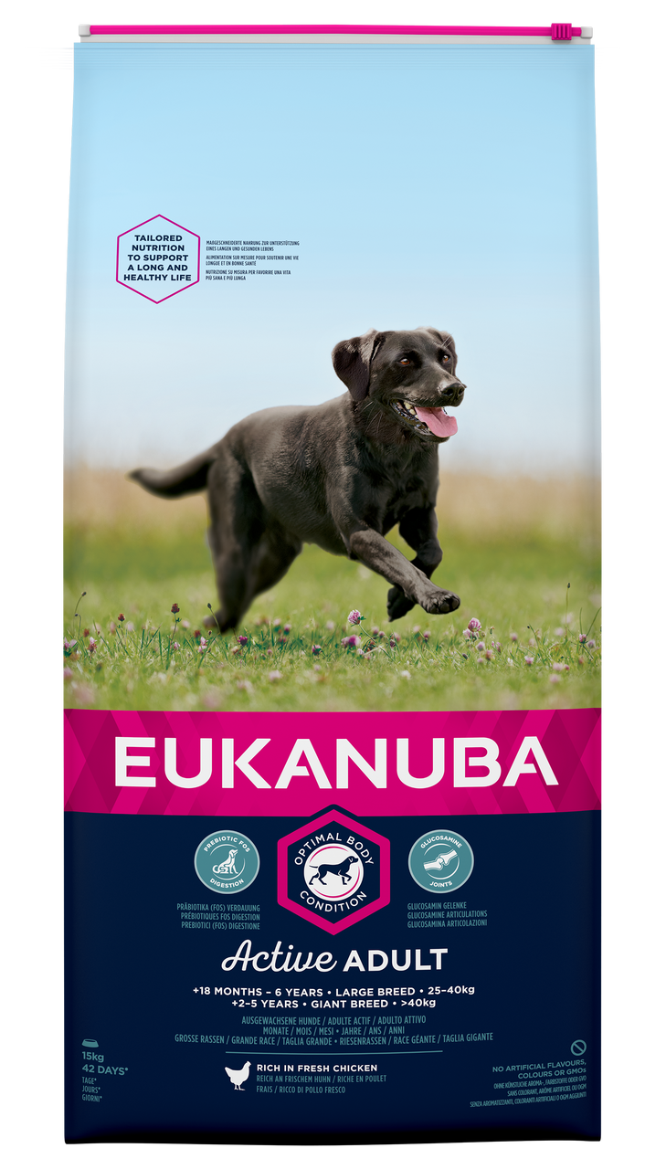 Dog Adult Large - 15 kg - Eukanuba