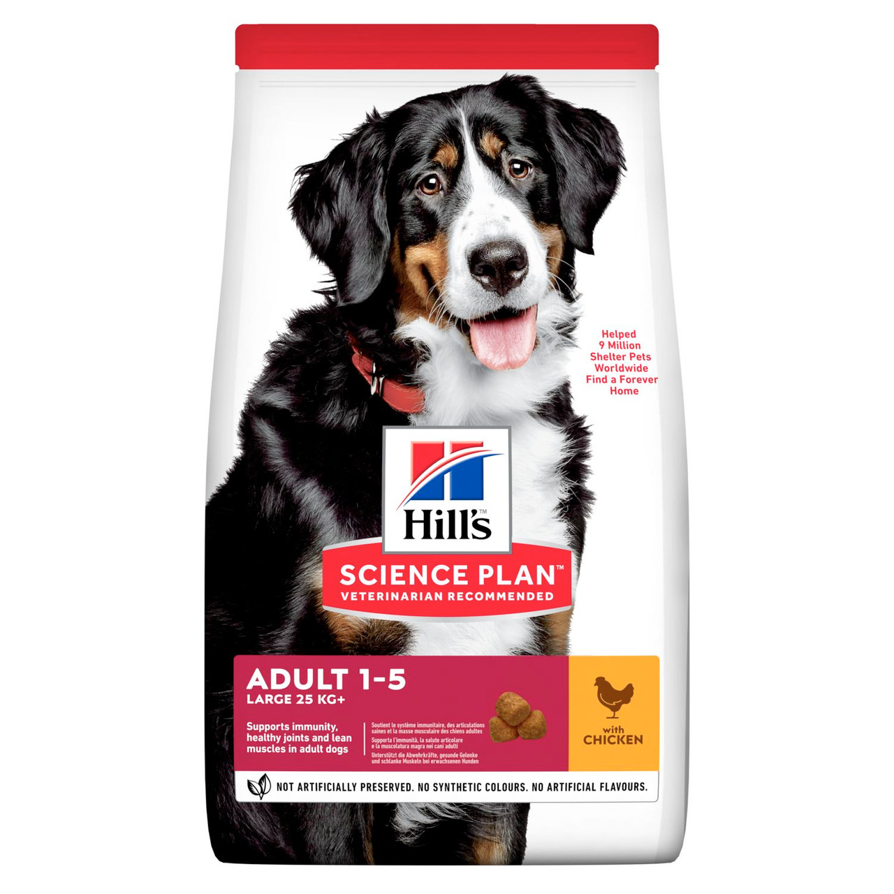 Adult Large Breed torrfoder med kyckling Hundfoder - 14 kg - Hill’s