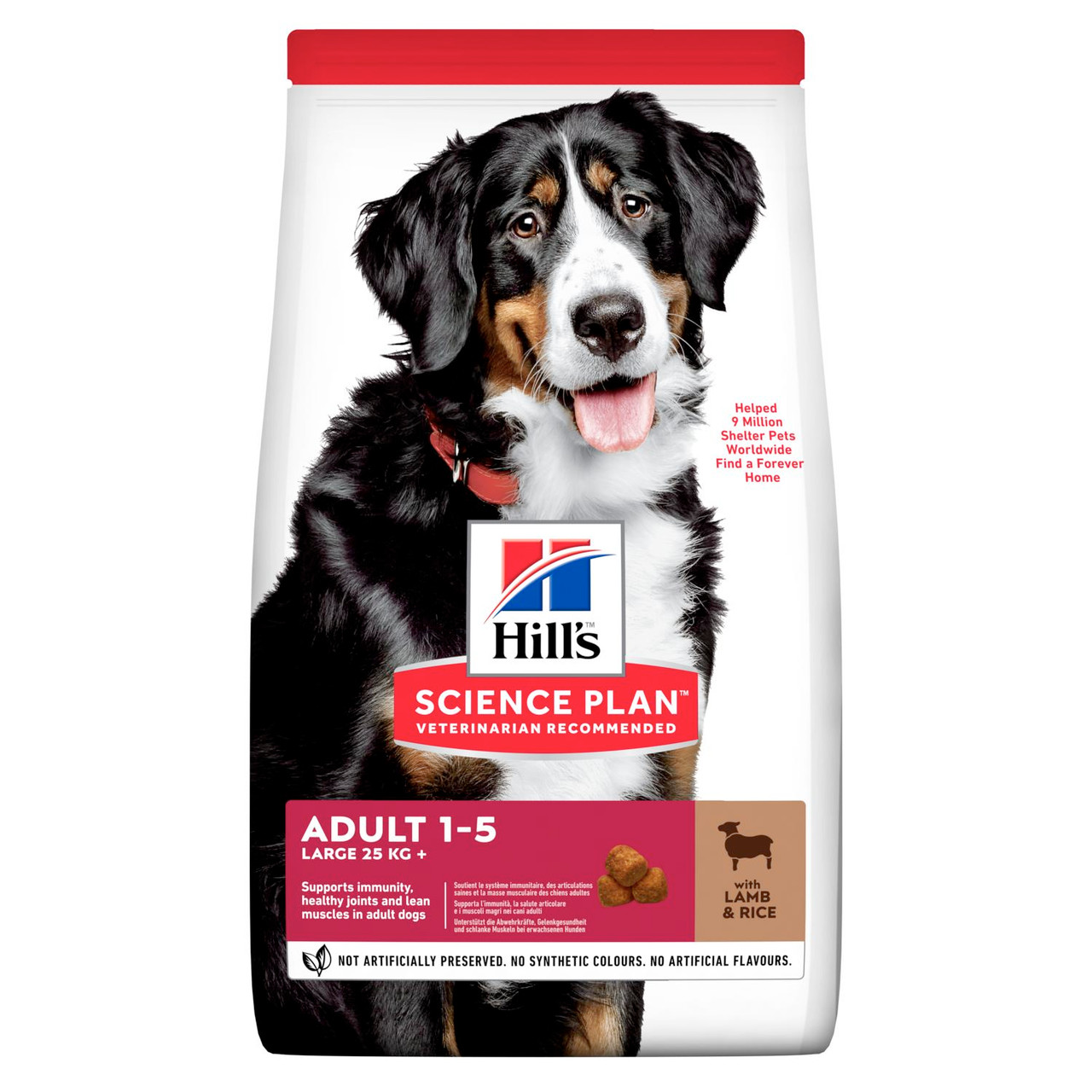 Adult Large Breed torrfoder med lamm och ris Hundfoder - 14 kg - Hill’s