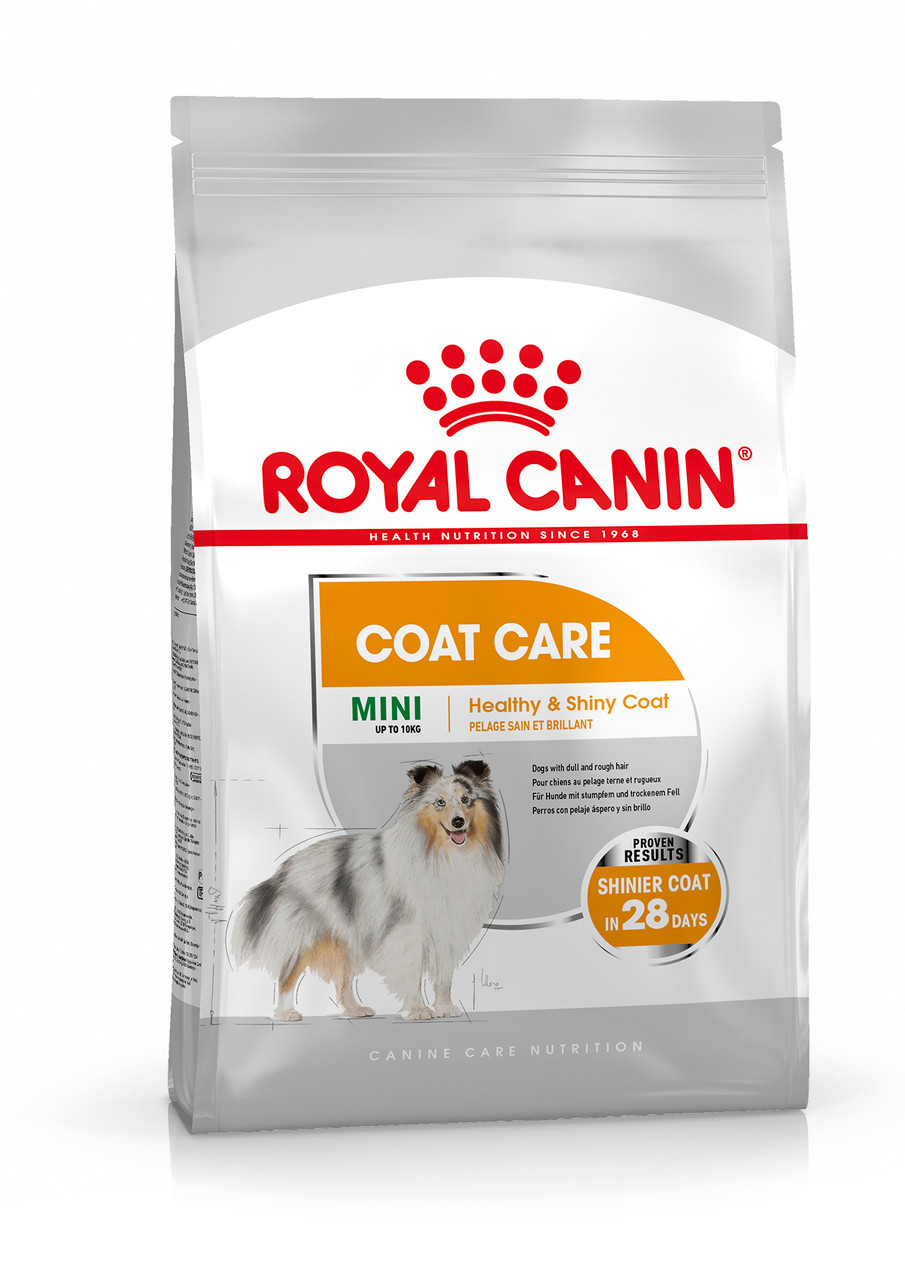 Coat Care Adult Mini Torrfoder för hund - 3 kg - Royal Canin