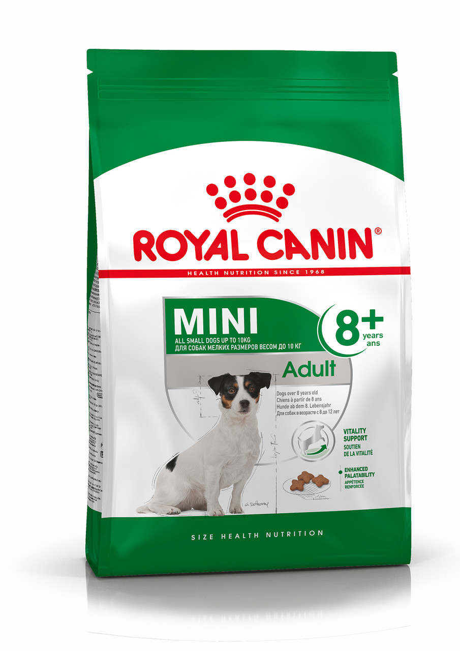 Mini 8+ Adult Torrfoder för hund - 8 kg - Royal Canin