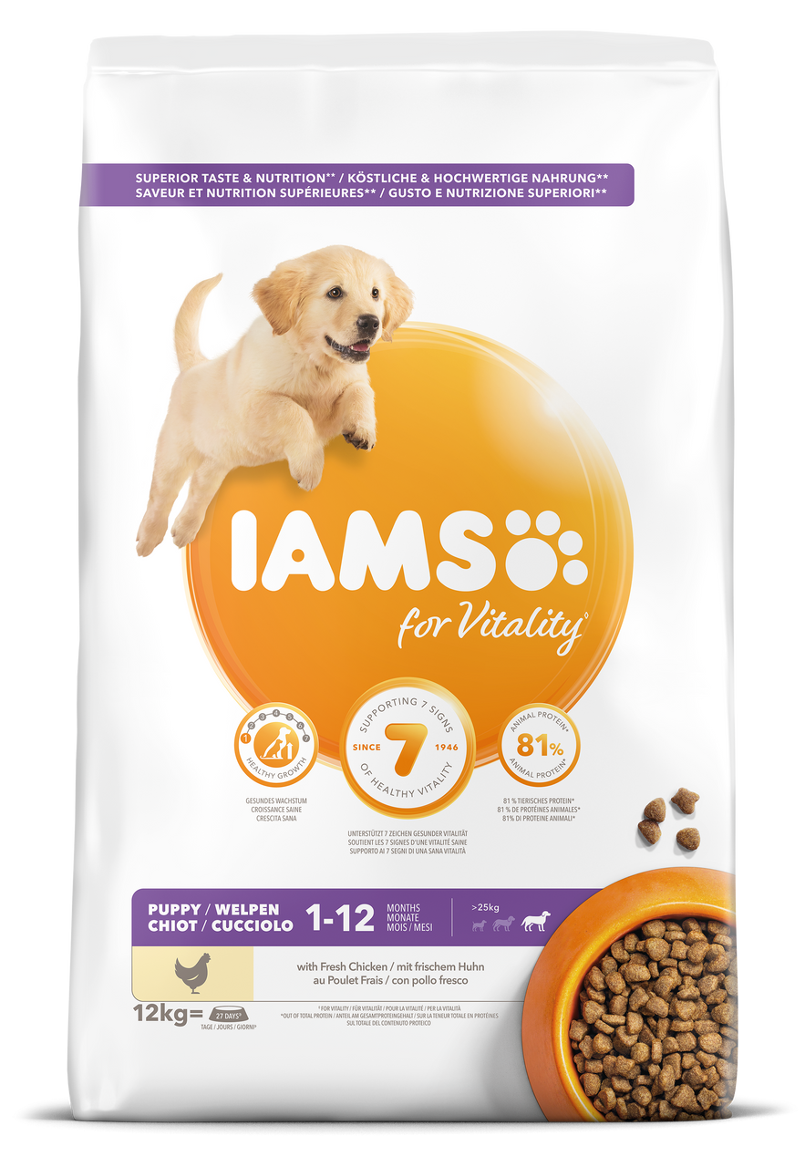 Dog Large Puppy - 12 kg - Iams