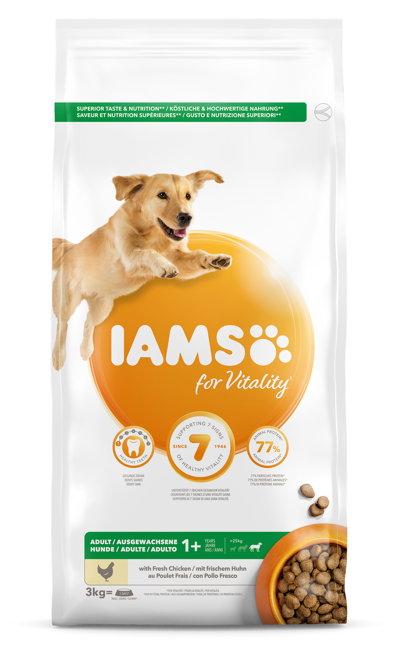 Dog Large Adult - 3 kg - Iams
