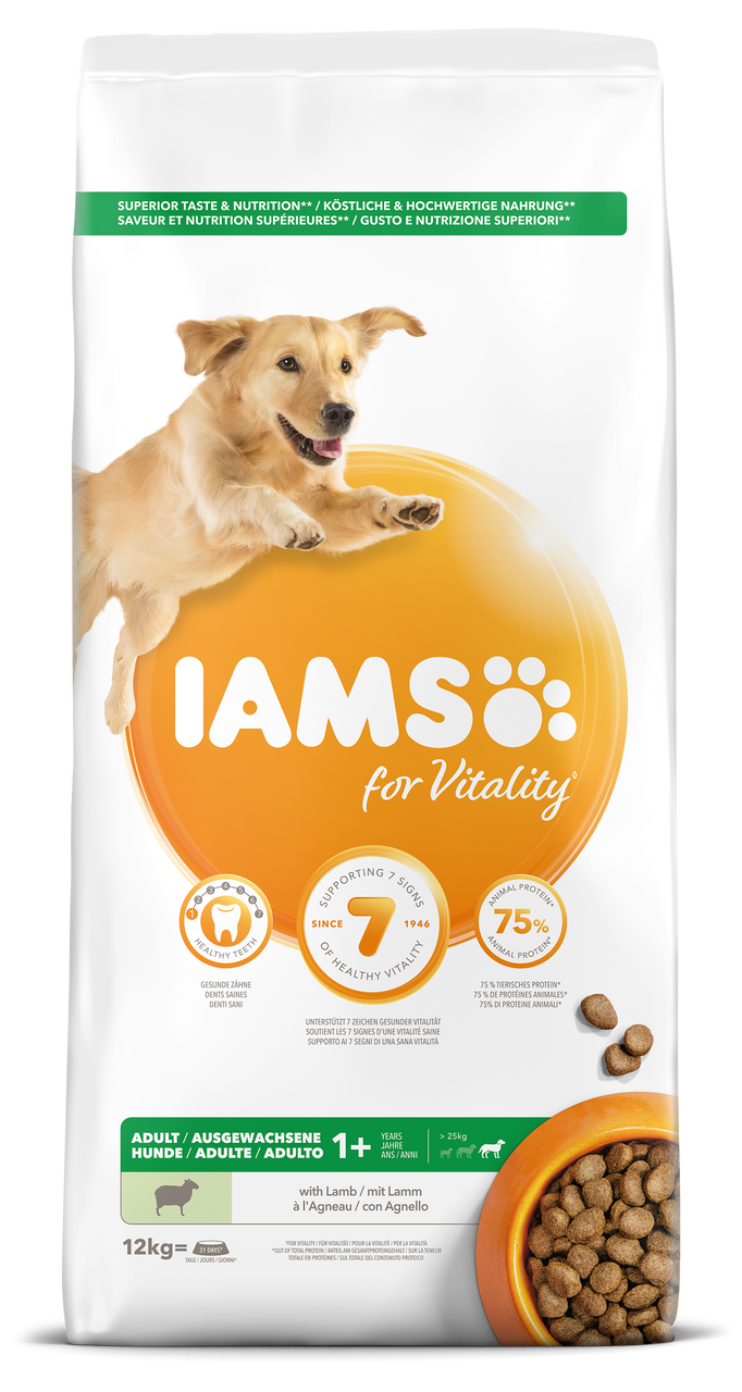 Dog Adult Large Lamb - 12 kg - Iams