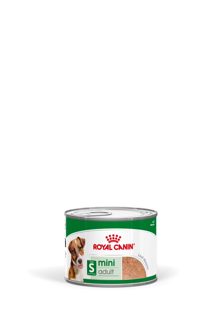 Mini Adult Loaf Can Våtfoder till Hundar - 12 x 195 g - Royal Canin