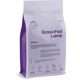 Grass-Fed Lamb Torrfoder för Hund - 5 kg - Buddy Pet Food