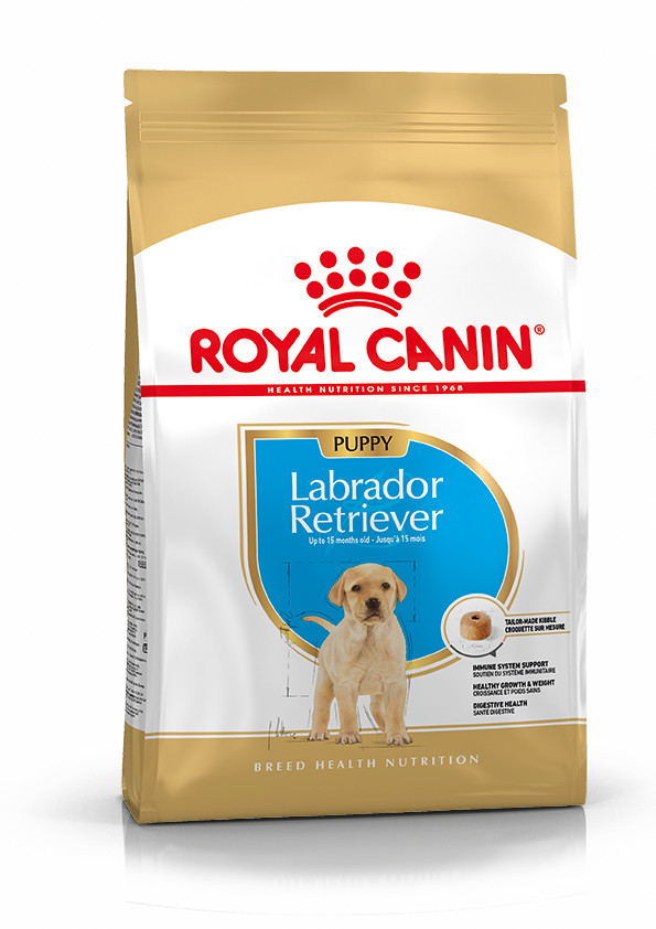 Labrador Retriever Puppy Torrfoder - 12 kg - Royal Canin