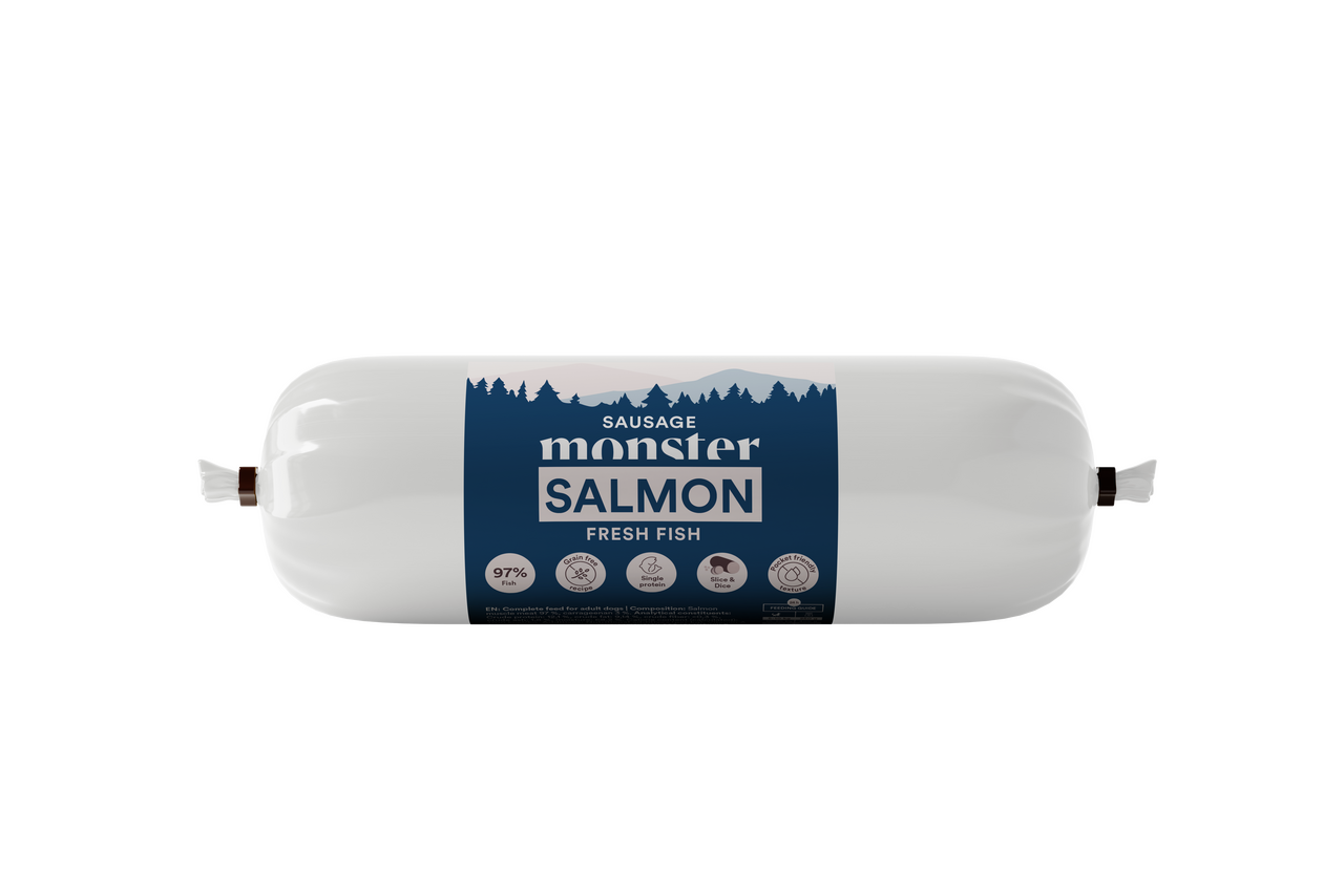 Dog Sausage Salmon Hundfoder - 12 x 200 g - Monster