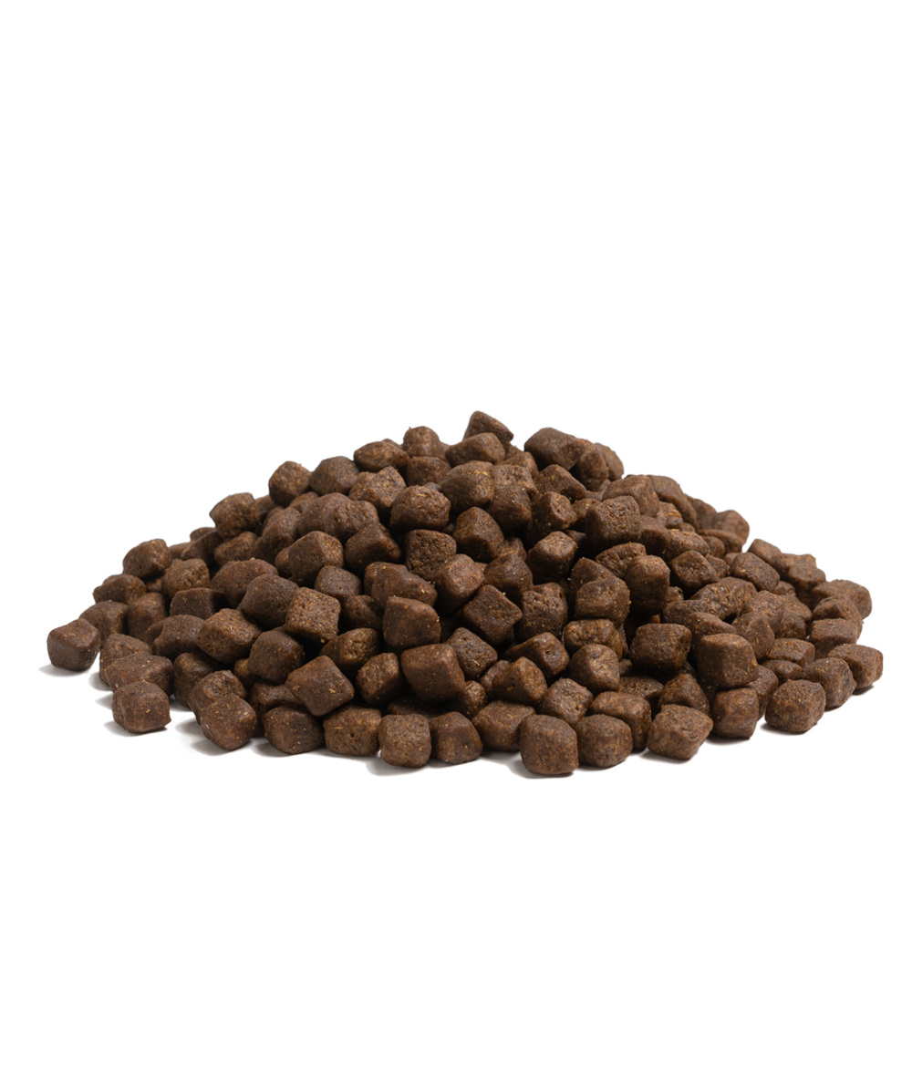 Essential Older Torrfoder till Hund - 2,5 kg - Essential Foods