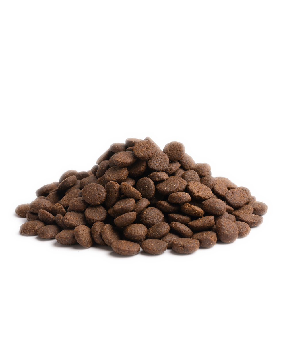 Essential Older Torrfoder till Hund - 10 kg - Essential Foods