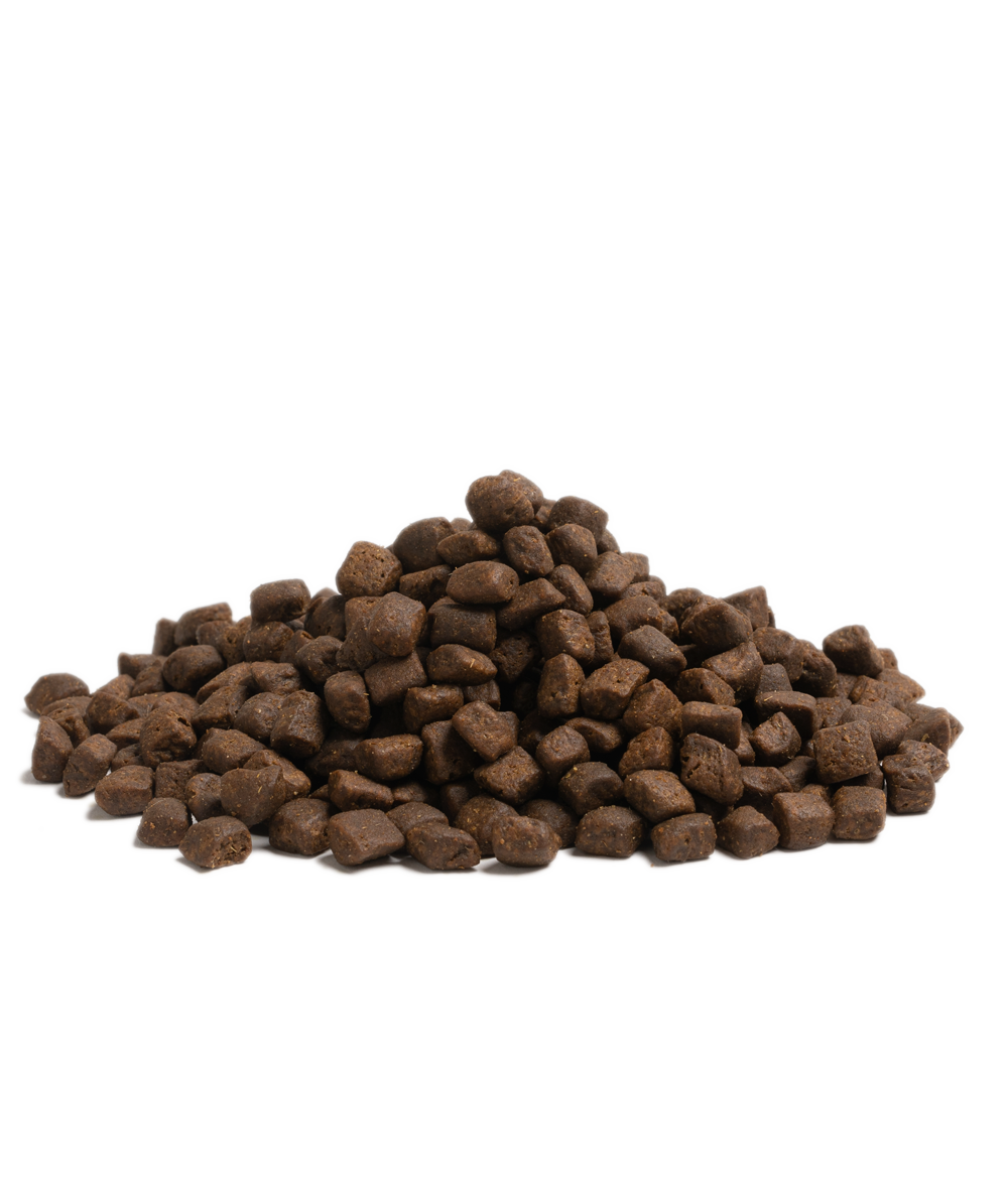 Essential Stamina Torrfoder till Hund - 2,5 kg - Essential Foods